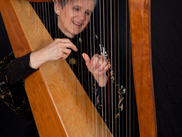 Introduction to Harp Lessons