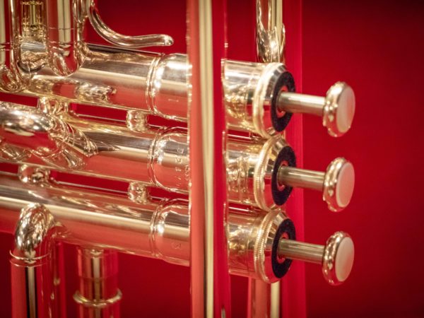 Case for the Yearly Brass Tune Up