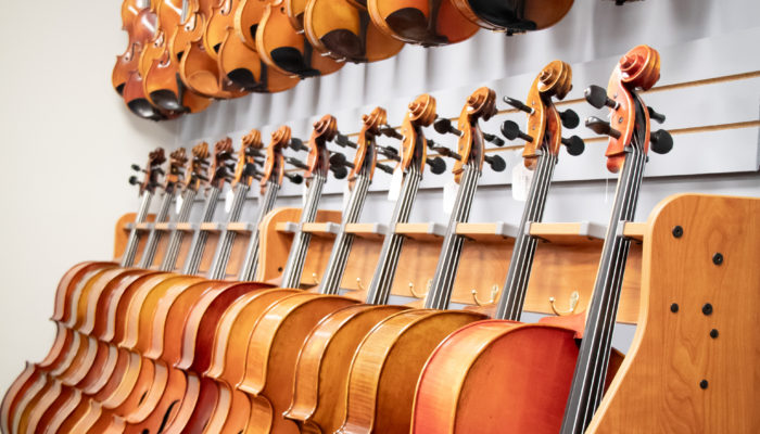 Large selection of cellos and violins on display.