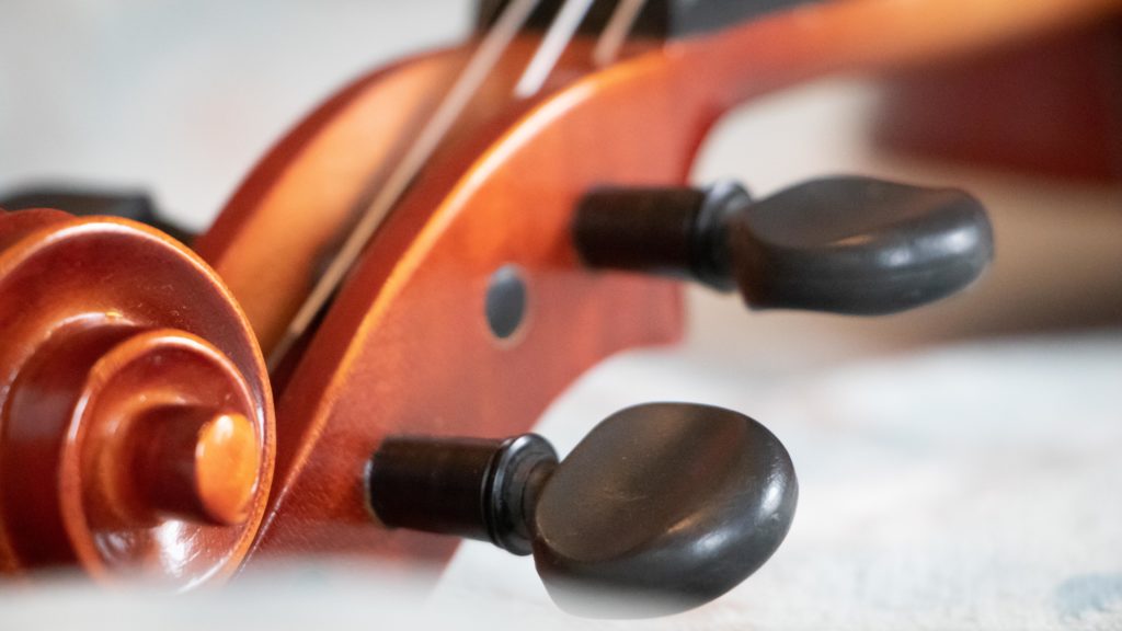 Tuning Pegs on a Violin