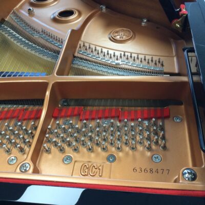 Yamaha DGC1 Inside view model and serial number