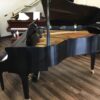 Baldwin-M-SE-Grand-Piano-right-side-view-top-up-with-bench