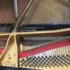 Baldwin-M-SE-Grand-Piano-serial-number-with-strings-and-felts.