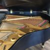 Baldwin-M-SE-Grand-Piano-strings-and-felts-inside-piano-view.