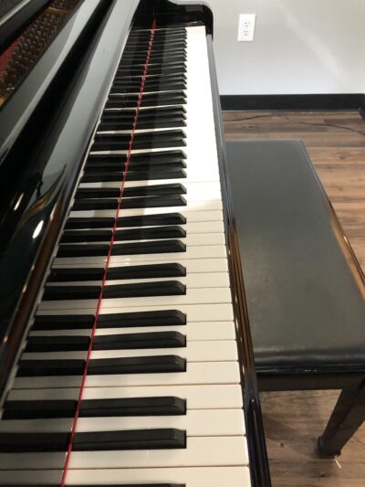 The view of the keys of a Sojin Model PG-1 (g029347).