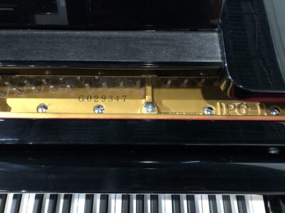 The serial number and model number of the Sojin Model PG-1 (g029347).