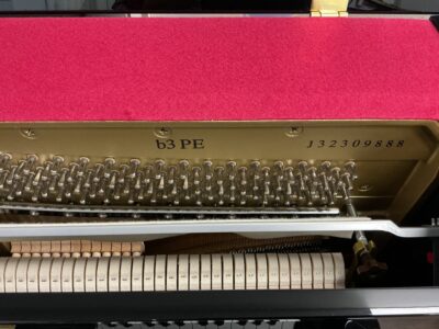 Yamaha B3-PE inside view of serial and model numberjpg