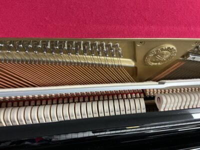 Yamaha B3-PE inside view of strings and felt