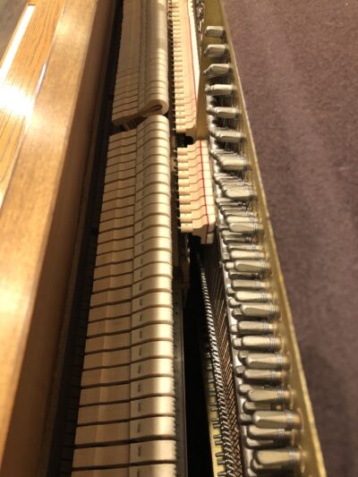 The hammers and tuning pins for the Yamaha P22 in Oak, #T174979.