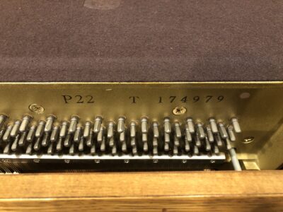 The model and serial number within the Yamaha P22 in Oak, #T174979.