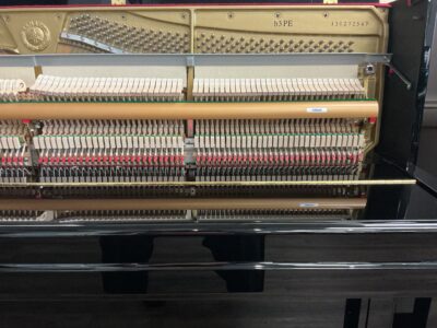 YamahaB3-PEinside view serial number with pads and felts