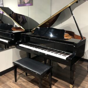 The front fully open view of a Yamaha_GA1E_PE_J1903047 with matching bench.