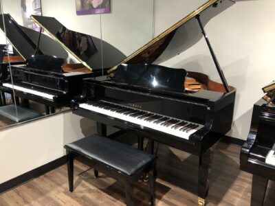 The front fully open view of a Yamaha_GA1E_PE_J1903047 with matching bench.