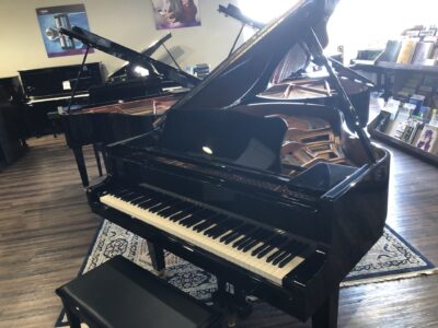 A front view of the open Yamaha_GH1B_PE_5847047.