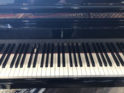 The front view of the keys and make insignia on the Yamaha_GH1B_PE_5847047.
