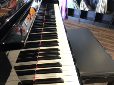 The keys of the Yamaha_GH1B_PE_5847047.