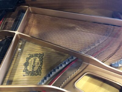 The view of the strings on the Yamaha_GH1B_PE_5847047.