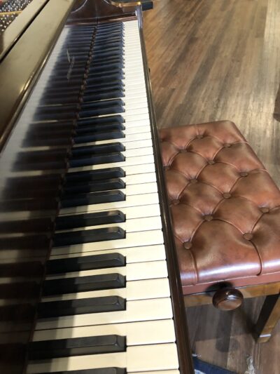 The view of the keys of the Steinway - Model “M” (brown mahogany) – 5’7” Grand Piano.