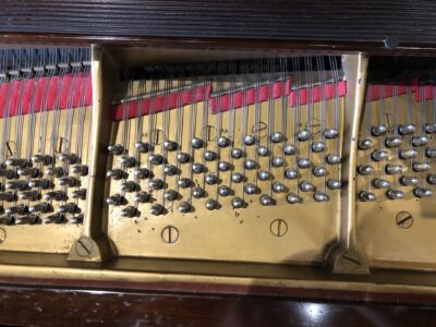 The pins of a Steinway - Model “M” (brown mahogany) – 5’7” Grand Piano.