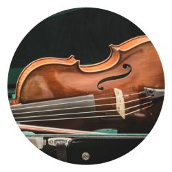 Step-Up-Landing-Page-2026-16